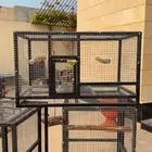 اقفاص انتاج ببغاوات