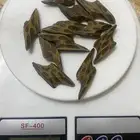 عود تايجر درجه اولى ثبات عالي ماشاءالله وبسعر رخيص