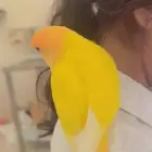 روز انثى الايف مره ولعوبه مع الاطفال