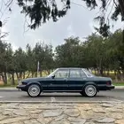 كرسيدا قراندي 84