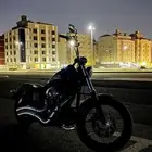 هارلي ستريت بوب