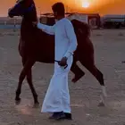 مهره عربيه أصيله