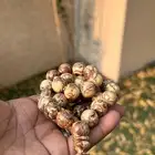 للبيع مسباح سورينتال