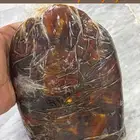 ونانه تهتم.