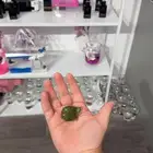 اسماك فايتر و سلاحف مع احواض