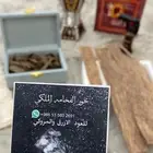 العود الازرق الملكي تبوك