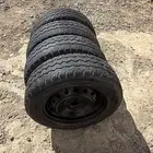 كفرات وجنوط هايكلس وكاله