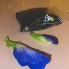 بذور الشاهي الأزرق