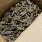 فرصه للتجار عود تايجر درجه اولى