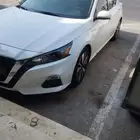 التيما 2022 sv نص فل