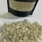 اللبان الحوجري العماني العلاجي القطفة الاولى