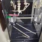 قفص و شنطة وستاند خارجي والعاب ومستلزمات