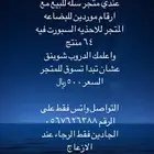 متجر سله للاحذيه جاهز وازودك بارقام الموردين