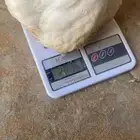 صوص الدجاج اللاحم عمر 35 يوم