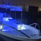 قارب للإيجار