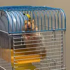 همتارو للبيع مع القفص