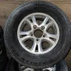 جنوط فراشة شاص و ربع