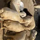 14رخال فل شحم والحم