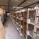 محكر خشب وحديد