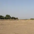 شيول 980 تسويه مزارع عقوم كبار هدم وترحيل خرسان بطحاء حفر