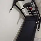 سير رياضي و غزال طائر