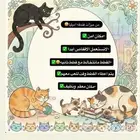 فندقه قطط حفرالباطن