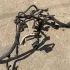 ظفيره كابرس