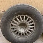 شواهين ردانز نص