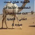اثنين لقحات على وشك ولاده ضايعات او مسروقات