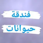 فندقة حيوانات طيور هامستر قطط عصافير سلاحف سمك ارانب