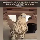 الخرج
