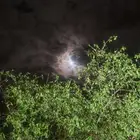 جمس نحل للبيع راجع اعلاني السابق