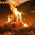 سماد سائل سماد شاي الكمبوست