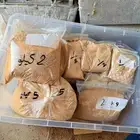 علف طيور ودجاج حمام بط