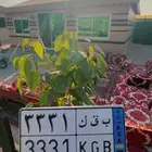 للبيع لوحه نقل مميزه