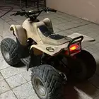 دباب مقاس 100 الوسيط