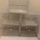 اقفاص مقاس 600 جديد