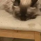 حي الفيحاء شارع عبدالله السليمان جدة