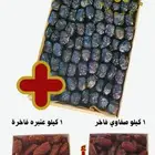 تمور المدينة بركة وشفاء