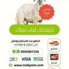 عقيقة أو هدي ابتداء من 830 شامل الذبح و التوصيل