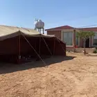 بيت شعر