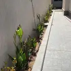 مهندس مدني