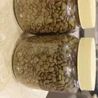 بذور سيسالبينيا