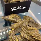 عود مروكي ملكي