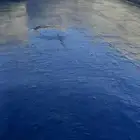 الاحساء المبرز