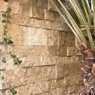 حجر وجه الجبل