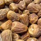 يوجد الدينا تمور سكري ومفتل رطب جلكسي