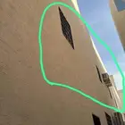 افضل شركة لطرد ومن قطط حمام مع الخصم عند التواصل