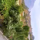 مزرعة خاصة للإيجار اليومي في تنومه قرية الاربوعه