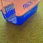 قفص قطط للبيع